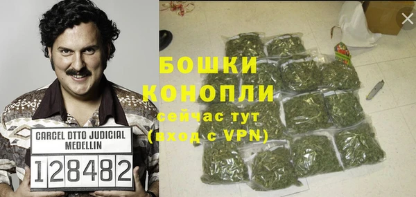 молекула духа Белокуриха