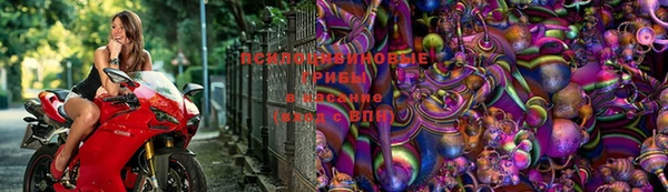 ПСИЛОЦИБИНОВЫЕ ГРИБЫ Беломорск