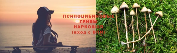 молекула духа Белокуриха