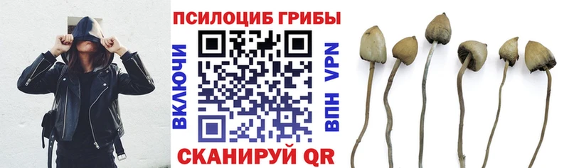 Галлюциногенные грибы Magic Shrooms  цена   Борисоглебск 