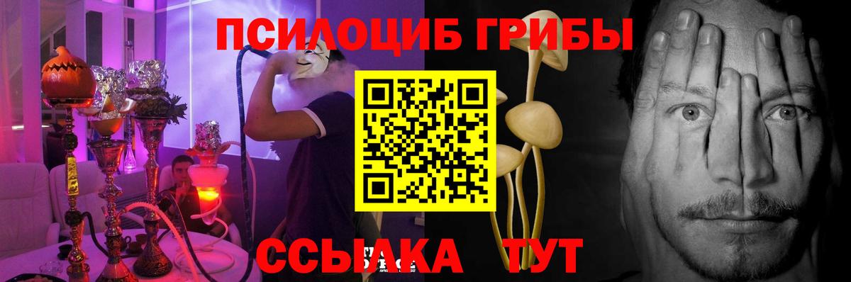 Псилоцибиновые грибы Psilocybine cubensis  Вход с VPN  Борисоглебск 